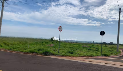 Terreno à venda, 242 m² por R$ 135.000,00 - SetValley 3 - São José do Rio Preto/SP