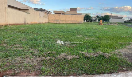 Terreno à venda, 600 m² por R$ 600.000,00 - RECANTO DO LAGO - São José do Rio Preto/SP