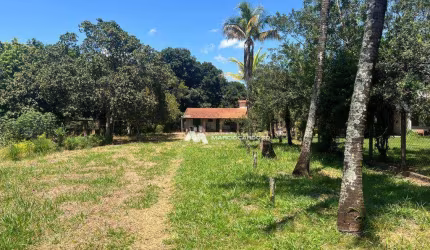 Chácara com 1 dormitório à venda, 3186 m² por R$ 300.000,00 - Estância São Carlos - Guapiaçu/SP