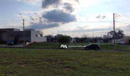 Terreno à venda, 253 m² por R$ 110.000,00 - Condomínio Bella Vitta - Bady Bassitt/SP