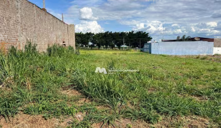 Terreno à venda, 1000 m² por R$ 420.000,00 - Loteamento Parque dos Pássaros - São José do Rio Preto/SP