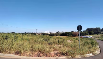 Terreno à venda, 262 m² por R$ 350.000,00 - Eplenum - São José do Rio Preto/SP