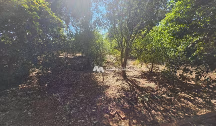 Chácara com 2 dormitórios à venda, 1000 m² por R$ 200.000 - Centro - Ipiguá/SP
