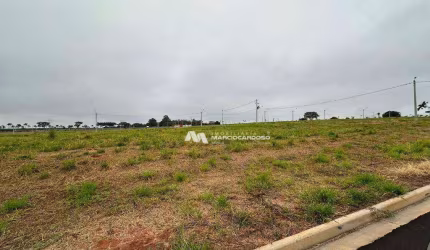 Terreno à venda, 405 m² por R$ 630.000,00 - Botanic Residence - São José do Rio Preto/SP