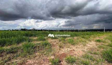 Terreno à venda, 410 m² por R$ 550.000,00 - Botanic Residence - São José do Rio Preto/SP