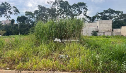 Terreno à venda, 200 m² por R$ 170.000,00 - Residencial Doutor João Tajara - São José do Rio Preto/SP