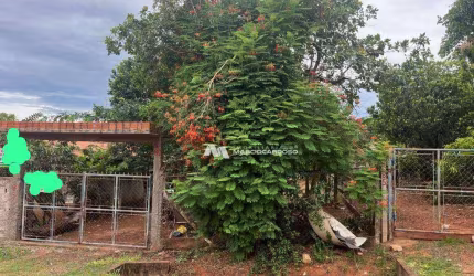 Chácara com 4 dormitórios à venda, 1000 m² por R$ 315.000,00 - Estância São Manoel (Zona Rural) - São José do Rio Preto/SP