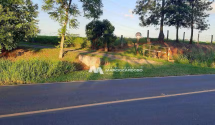 Sítio com 2 dormitórios à venda, 85114 m² por R$ 2.700.000,00 - Rural - Bady Bassitt/SP