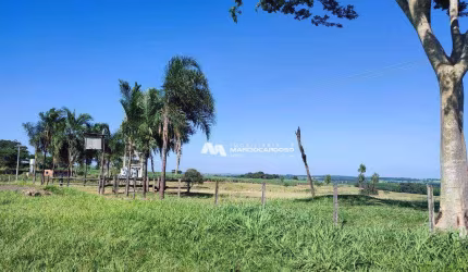Sítio com 2 dormitórios à venda, 181500 m² por R$ 3.500.000,00 - Souza - Mirassol/SP