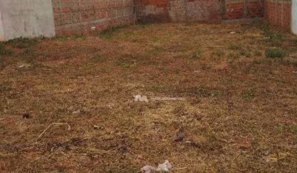 Terreno à venda, 250 m² por R$ 100.000,00 - Parque das Amoras - São José do Rio Preto/SP