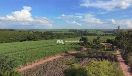 Sítio à venda, 33,47 alqueires por R$ 9.900.000