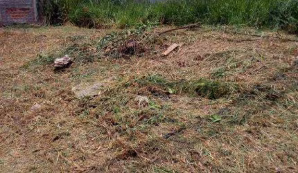 Terreno à venda, 200 m² por R$ 95.000,00 - São Thomas - São José do Rio Preto/SP