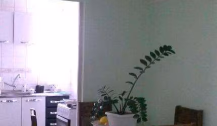 Apartamento com 3 quartos à venda na Rua Albatroz, 65, Vila Padre Manoel de Nóbrega, Campinas, 55 m2 por R$ 212.000