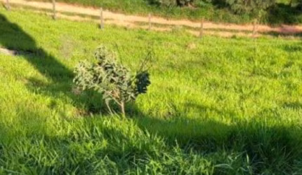 Terreno comercial à venda no Joaquim Egídio, Campinas  por R$ 365.000