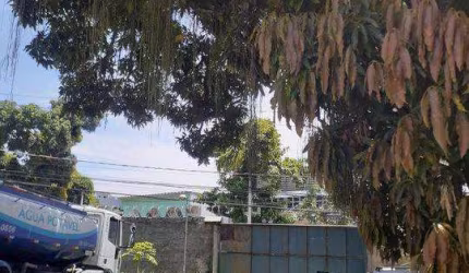 Terreno para Venda em Rio de Janeiro, TAQUARA