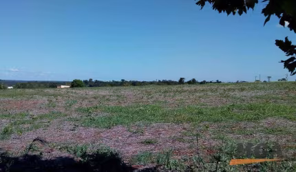 Área à venda, 41700 m² por R$ 12.510.000,00 - Jardim Dona Fátima Osman - Foz do Iguaçu/PR