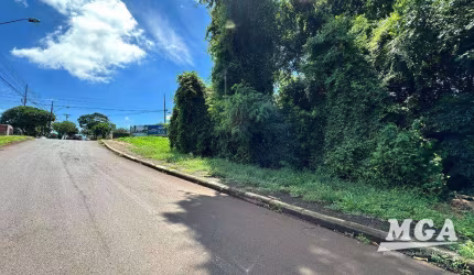 Terreno à venda, 544 m² por R$ 450.000,00 - Jardim Panorama - Foz do Iguaçu/PR
