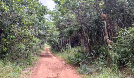 Terreno para Loteamento em lagoa Aruá com 5000 m²