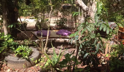 Casa de Madeira em meio a natureza na lagoa Arua Praia do  Forte Ba