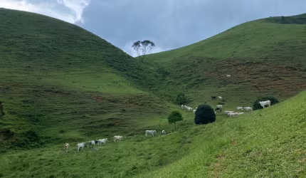 Fazenda à venda em Bocaina de Minas