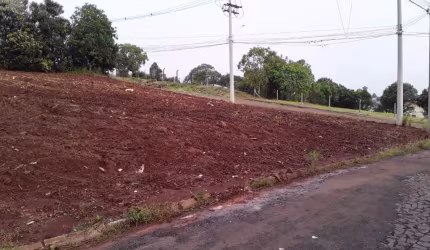 Imóvel para venda com 1232 metros quadrados em Parque Lívia - Erechim - RS