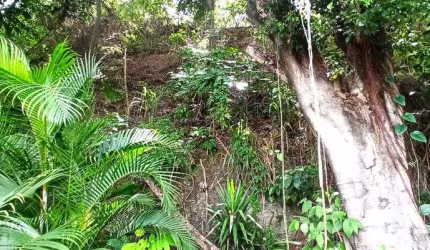 Lote/Terreno para venda tem 1500 metros quadrados em Taquara - Rio de Janeiro - RJ