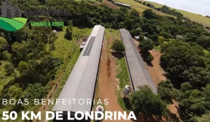 GRANJA A VENDA EM TAMARANA PR