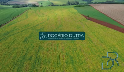 SITIO A VENDA NO BRATISLAVA - CAMBÉ PR