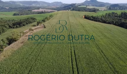FAZENDA A VENDA EM TAMARA PR  - CAMPO DE SEMENTE