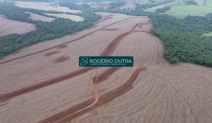Fazenda a venda em Londrina PR - Campo de Semente