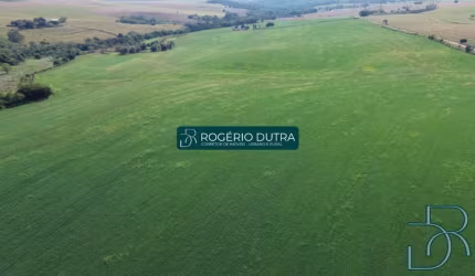 FAZENDA A VENDA EM LEOPOLIS PR - CORNELIO PROCOPIO