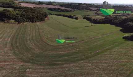 fazenda a venda em Londrina Sertanópolis Paraná