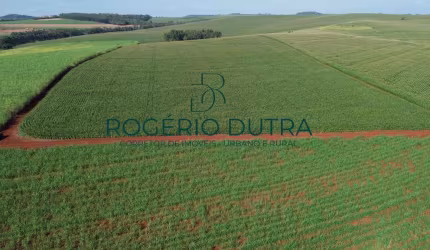 Sitio a venda em Bandeirantes  - PR