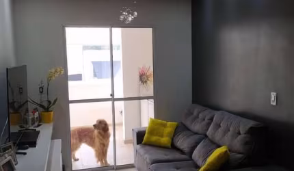 Lindo Apartamento Jaguaribe