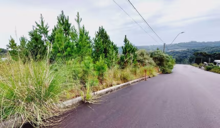 A vantagem de comprar um terreno é de criar o projeto que você quiser.