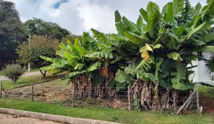 A vantagens de comprar um terreno é de criar o projeto que você quiser.