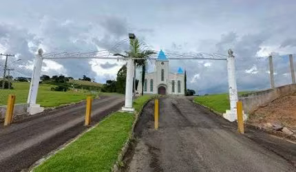 lote 250 centro da cidade bairro dos Pereiras