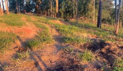 lote rural 4500metros
