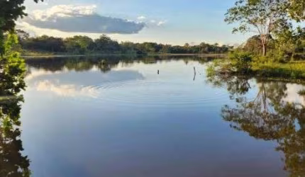 Fazenda de 630 Alqueires em Araguaçu - TO