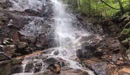 Terreno Rural com 1 alqueire e meio ( cerca de 36400 m2 ) com cachoeira e nascentes rico em água