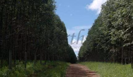 Fazenda à venda na Rua Canabrava, 1000, Cachoeira, Unaí, 1578 m2 por R$ 52.000.000