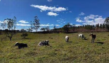 Fazenda à venda na Rural, 300, Campo Grande, Pilar do Sul, 15 m2 por R$ 2.000.000