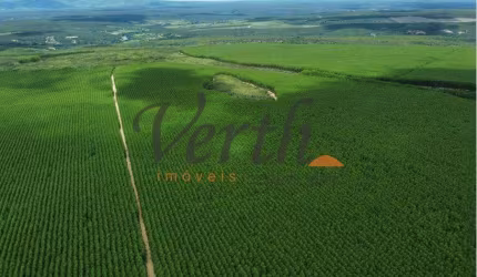 Fazenda à venda na Zona Rural, sn, Centro, Salinas, 35000 m2