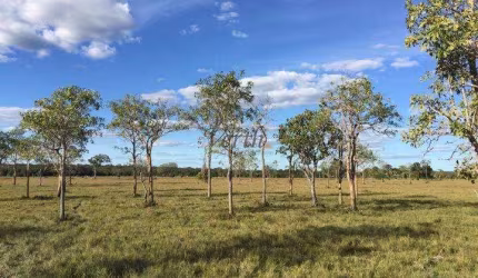 Fazenda à venda na Rural, Sn, Centro, Chapada Gaúcha, 1016 m2 por R$ 11.000.000