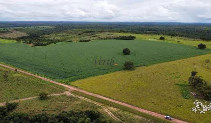 Fazenda à venda na Rural, 12323, Centro, Pilão Arcado, 93474 m2