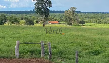 Fazenda à venda na Rural, Sn, Centro, Coxim, 300 m2 por R$ 13.000.000