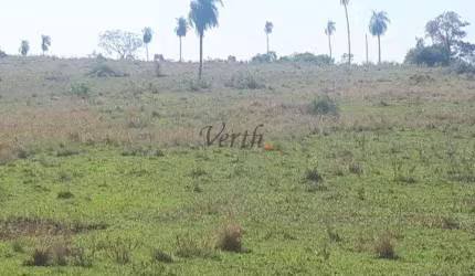 Fazenda à venda na Rua Rui Barbosa, Sn, Centro, Campo Grande, 522 m2 por R$ 40.000.000