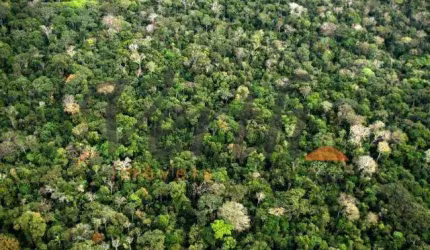 Fazenda à venda no Centro, Itamarati , 115873 m2 por R$ 78.000.000