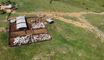 Fazenda à venda na Rural, 12222, Centro, Pacajá, 3100 m2 por R$ 38.400.000