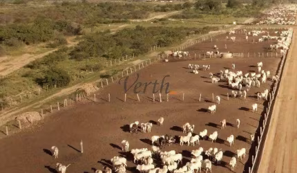 Fazenda à venda na Rural, Sn, Centro, Ibotirama, 20000 m2